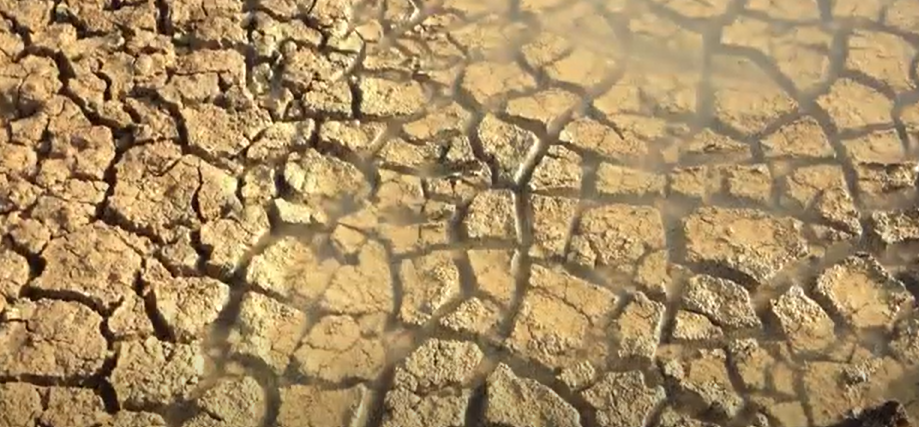 Heaven Hands Gallery Image